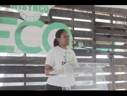 Earth Today | Inaugural Caribbean Environment Week moves to support sustainable future – Jamaica Gleaner