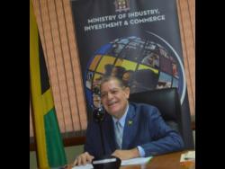 Shaw lauds Ja’s social enterprise sector for national development – Jamaica Gleaner