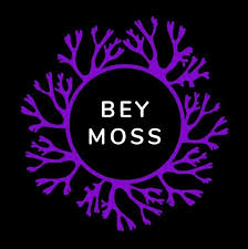 Support Black Small Businesses This Holiday Season By Giving The Gift Of Health – Beymoss.com – GlobeNewswire